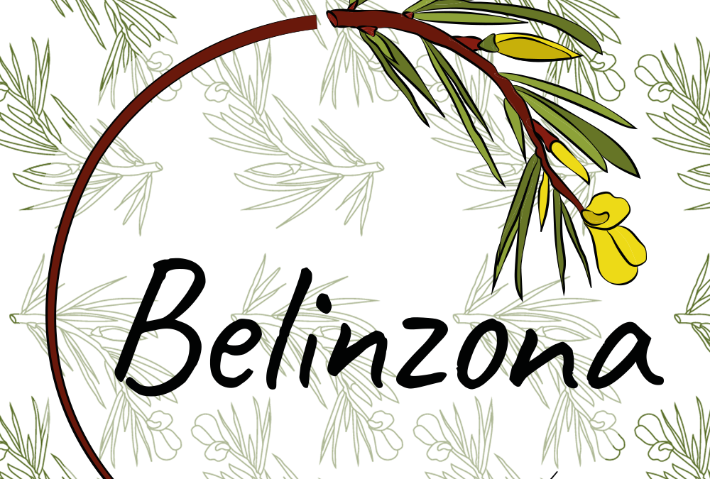 Belinzona Certification
